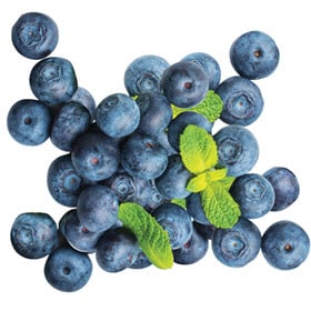 A pile of fresh blueberries on a white background.