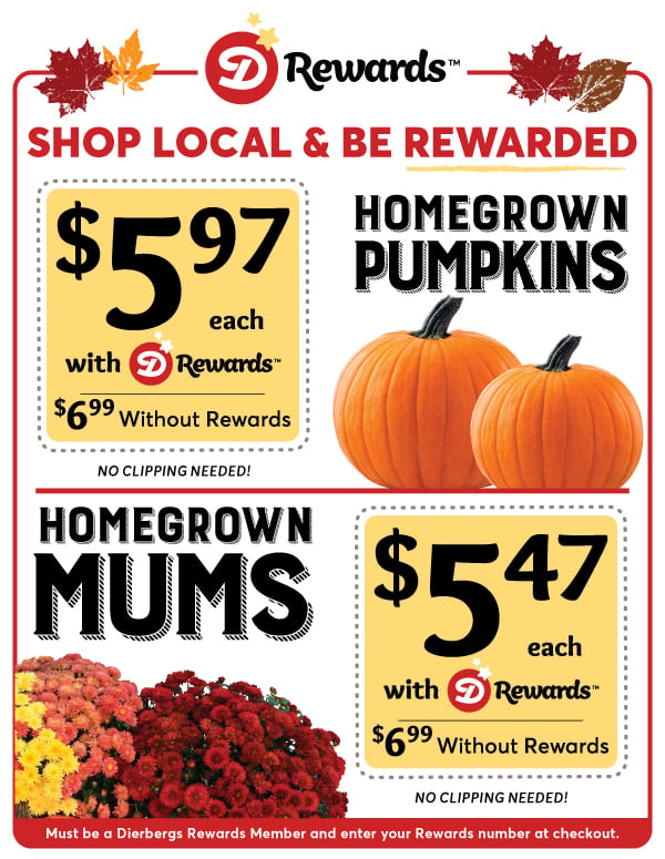 Dierbergs Rewards: Shop Local & Be Rewarded | Homegrown Pumpkins: $5.97 each with Dierbergs Rewards ($6.99 without Rewards) | Homegrown Mums: $5.47 each with Dierbergs Rewards ($6.99 without Rewards) |No clipping needed! Must be a Rewards Member and enter your Rewards number at checkout.